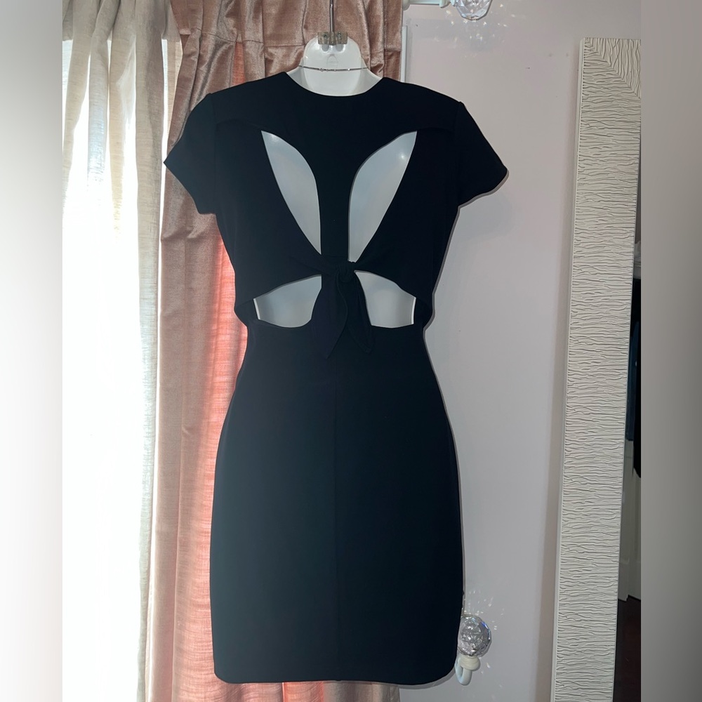 Bailey44 | back detail Jersey dress